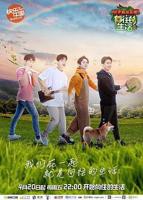 《向往的生活 第二季》完整版免费在线观看08集