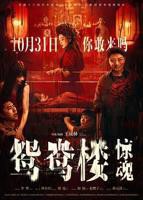 《鸳鸯楼》免费高清在线观看完整版国语中字