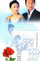 《缘分的天空》免费观看高清完整版_电视剧全集在线播放02集