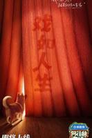 《向往的生活》第8季免费观看完整版全集在线