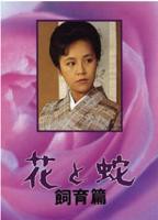 《花与蛇 饲育篇》免费观看高清电影HD国语_高清完整视频在线