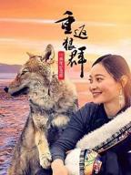 《重返狼群》高清免费观看全集02集