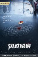 《风过留痕》电视剧免费观看全集完整版01集